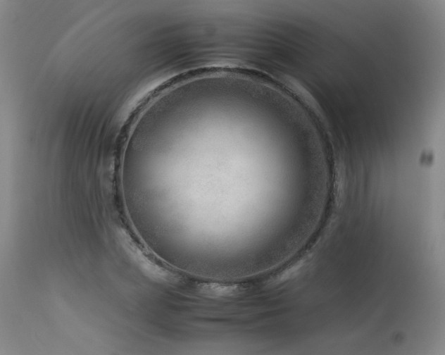 X0000114010831200910021340