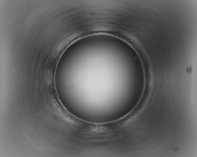 X0000114010833200910021340