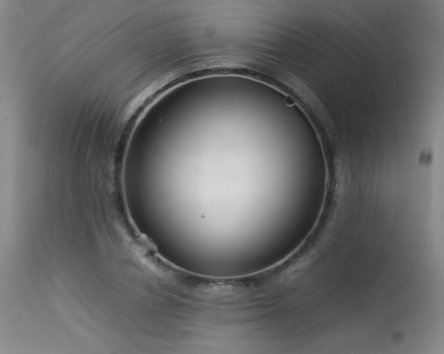 X0000114010834200910021340