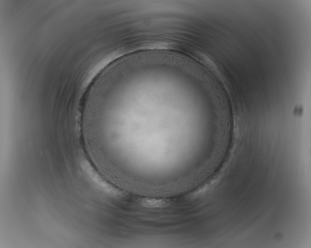 X0000114010835200910021340
