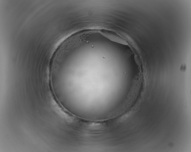 X0000114010839200910021340