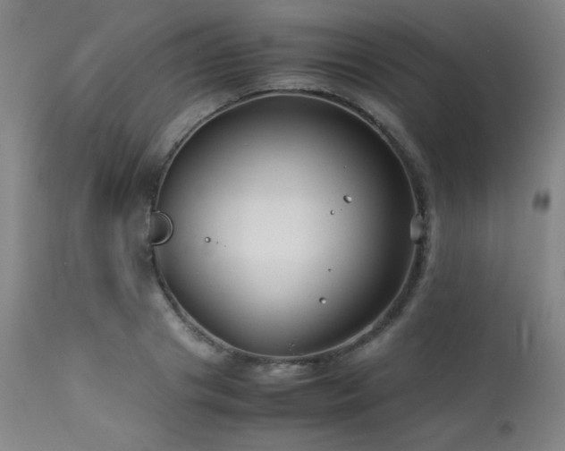 X0000114010841200910021340