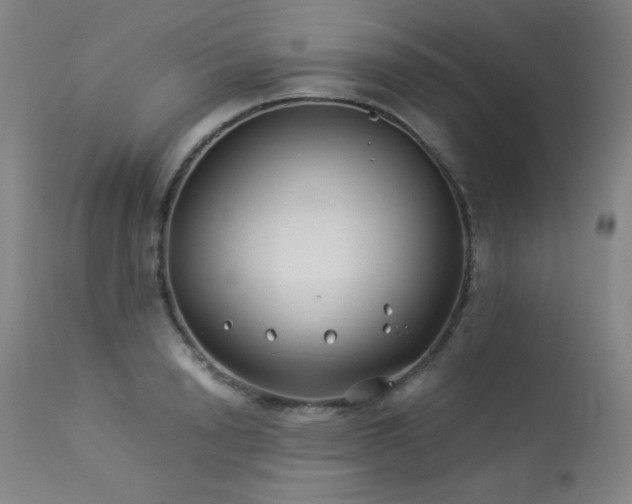 X0000114010846200910021340