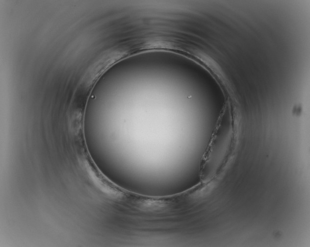 X0000114010849200910021340