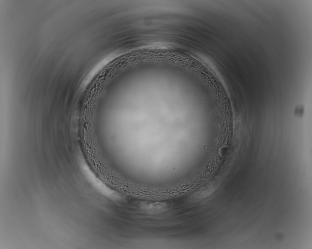 X0000114010851200910021340