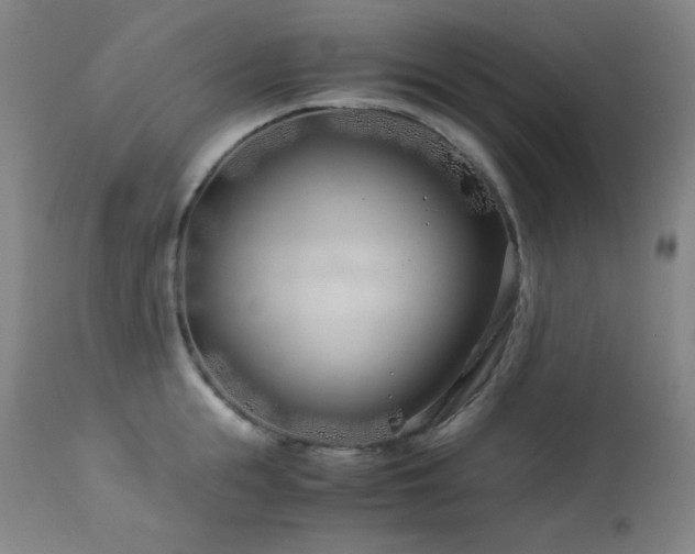 X0000114010855200910021340