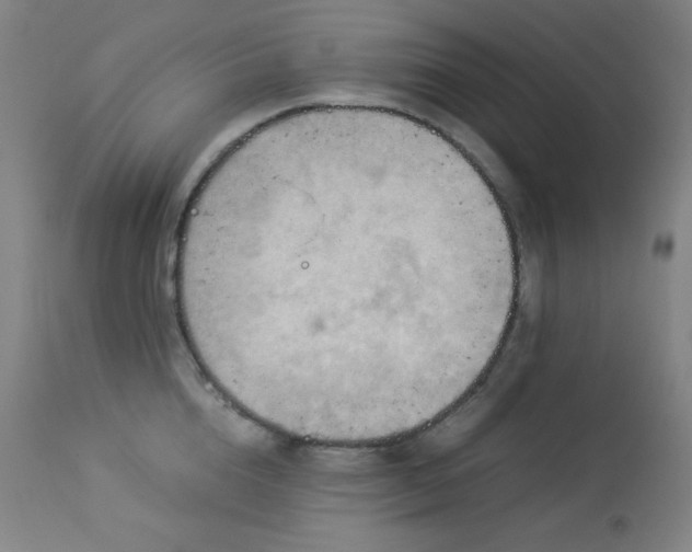 X0000114010856200910021340
