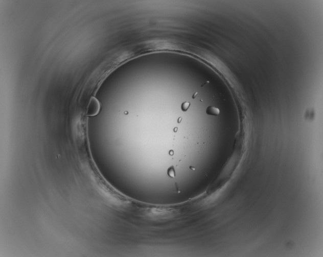 X0000114010857200910021340
