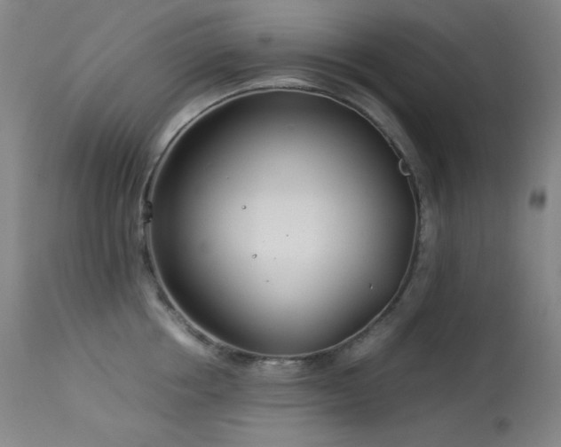 X0000114010858200910021340