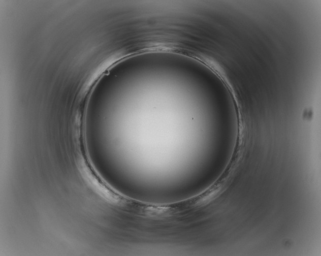 X0000114010859200910021340