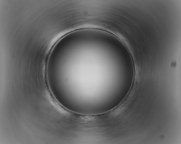 X0000114010862200910021340