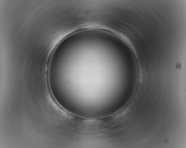 X0000114010863200910021340