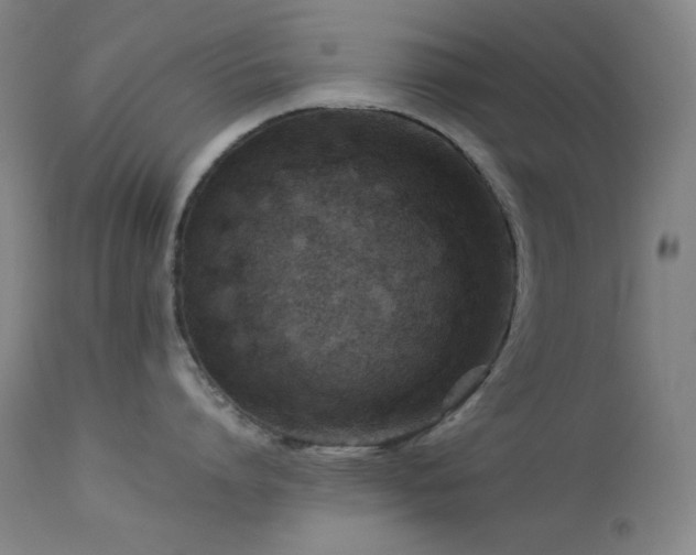 X0000114010864200910021340