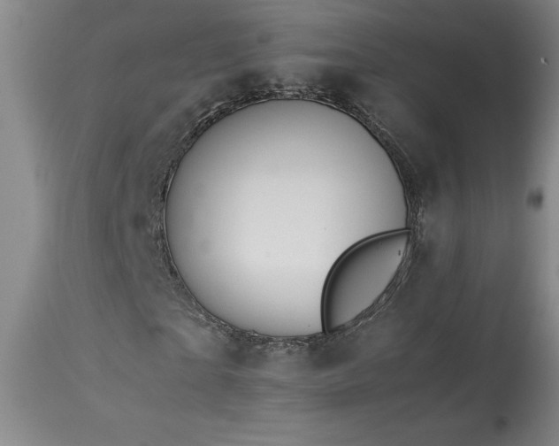 X0000114010865200910021339