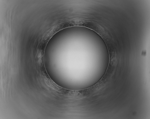 X0000114010866200910021339