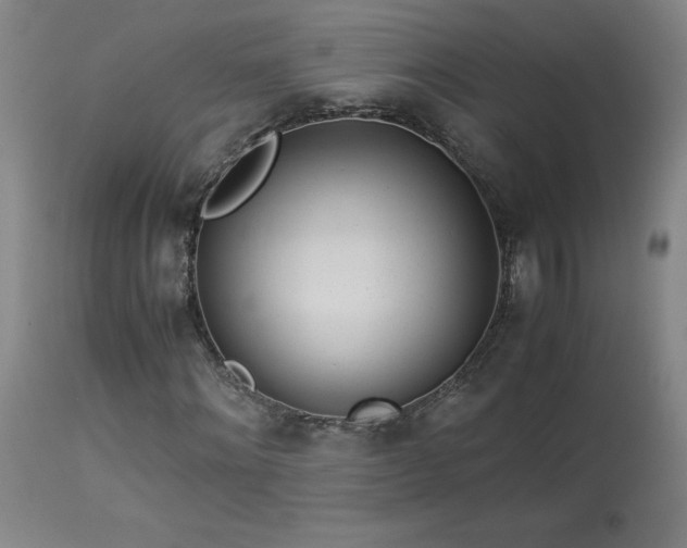 X0000114010868200910021339