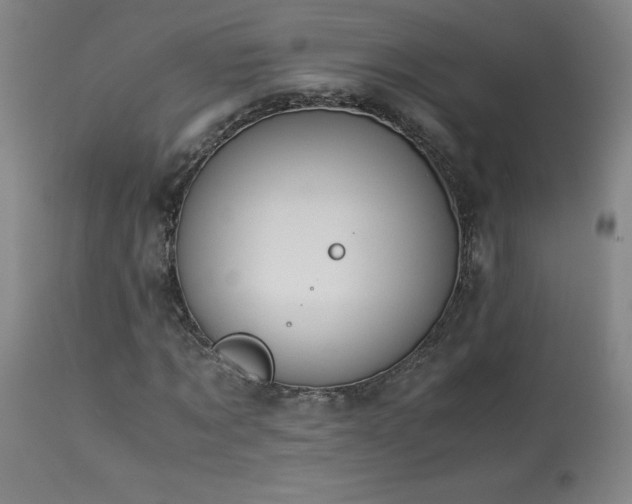 X0000114010869200910021339