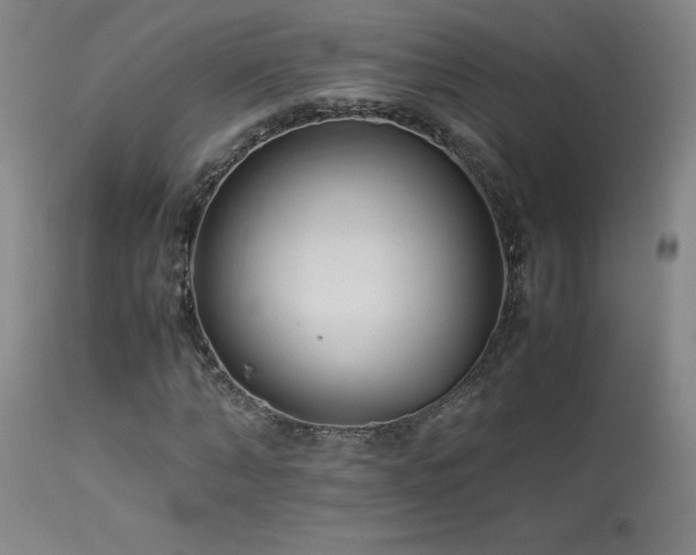 X0000114010870200910021339