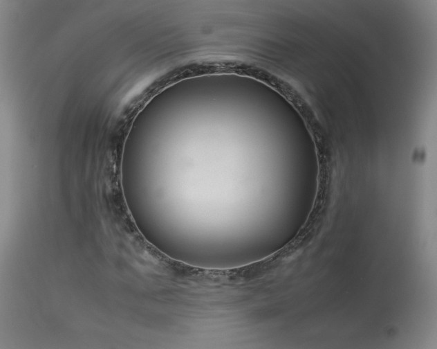 X0000114010871200910021339