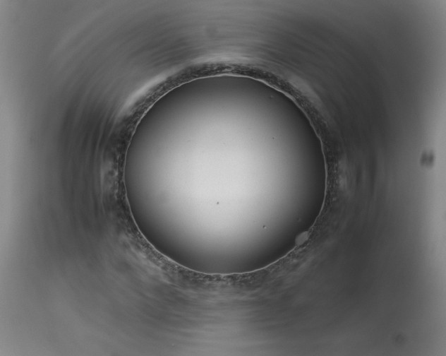 X0000114010872200910021339