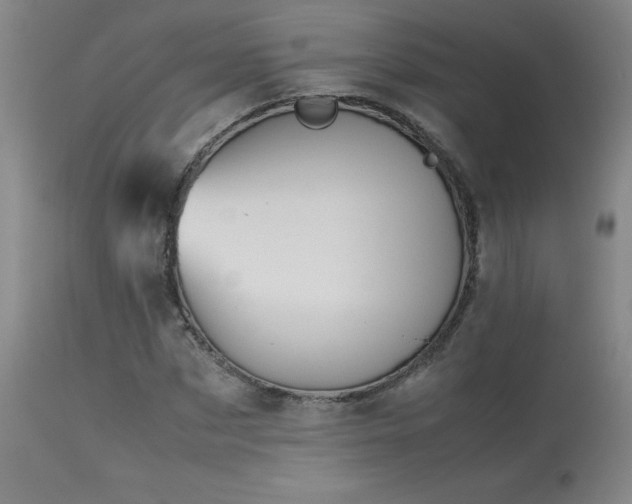 X0000114010873200910021339
