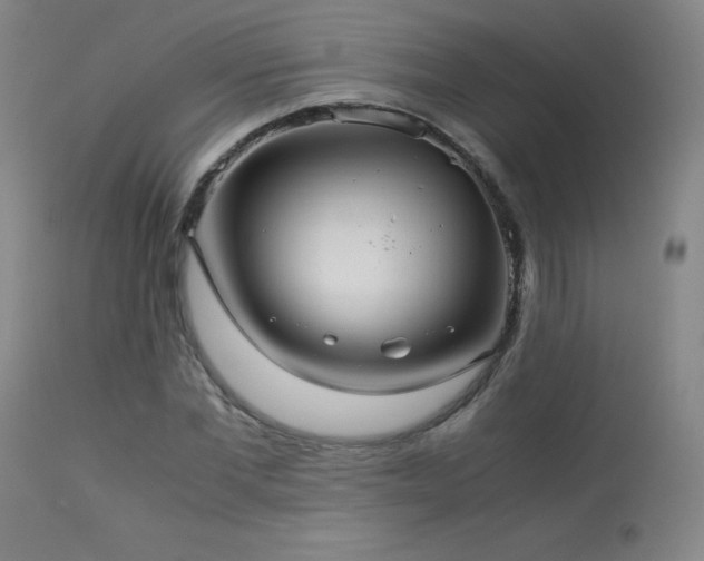 X0000114010877200910021339