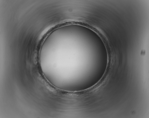 X0000114010878200910021339