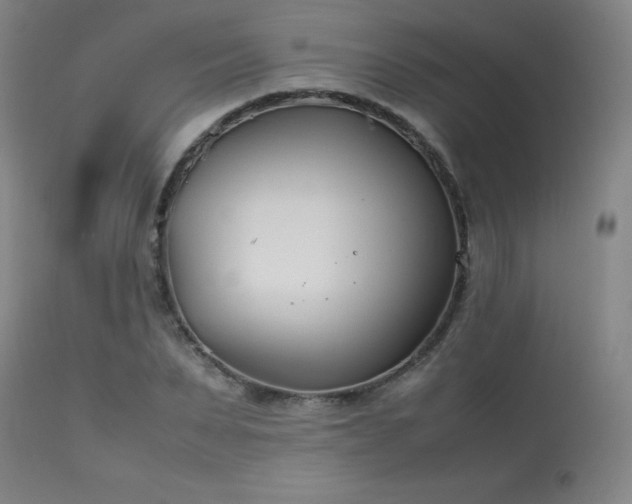 X0000114010879200910021339