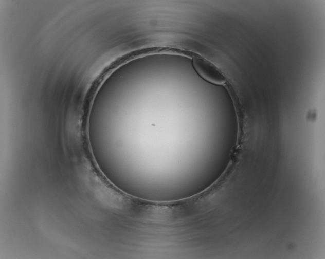 X0000114010880200910021339