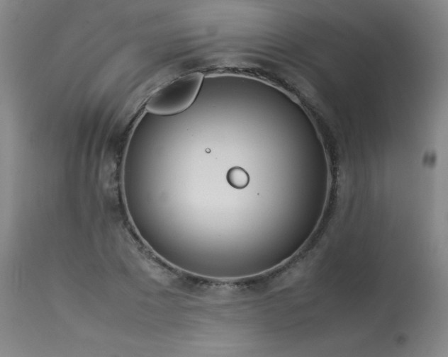 X0000114010881200910021339