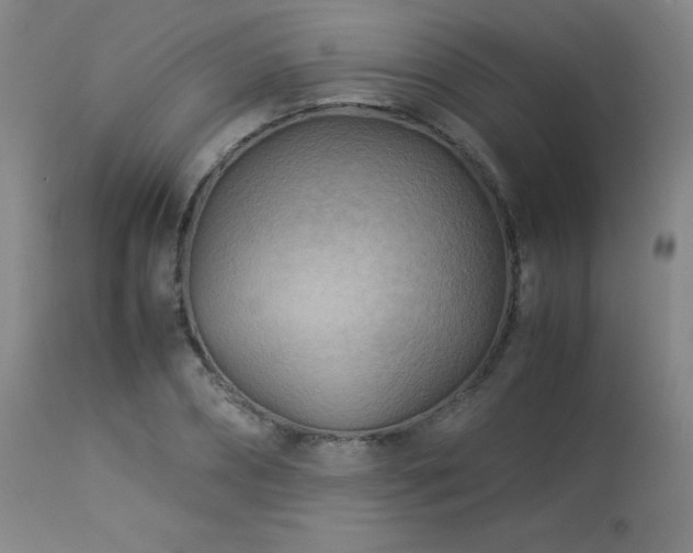 X0000114010882200910021339