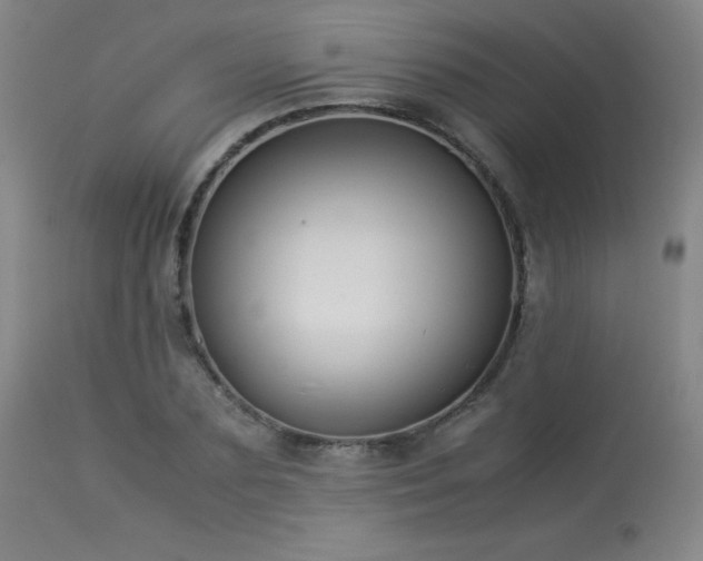 X0000114010883200910021339
