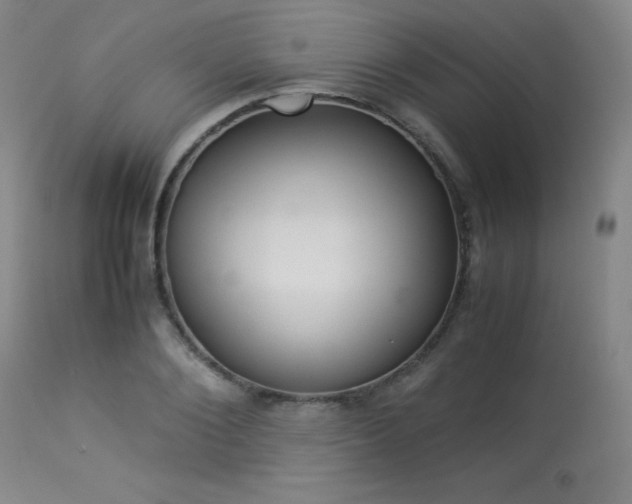 X0000114010884200910021339