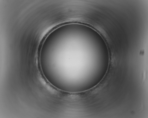 X0000114010888200910021339