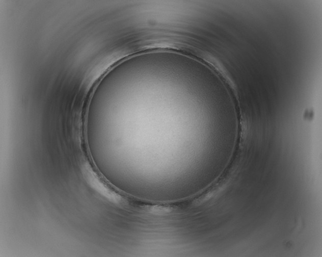 X0000114010890200910021339