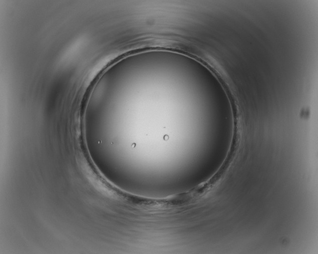 X0000114010891200910021339