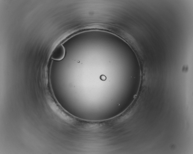 X0000114010892200910021339
