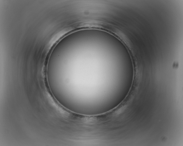 X0000114010893200910021339