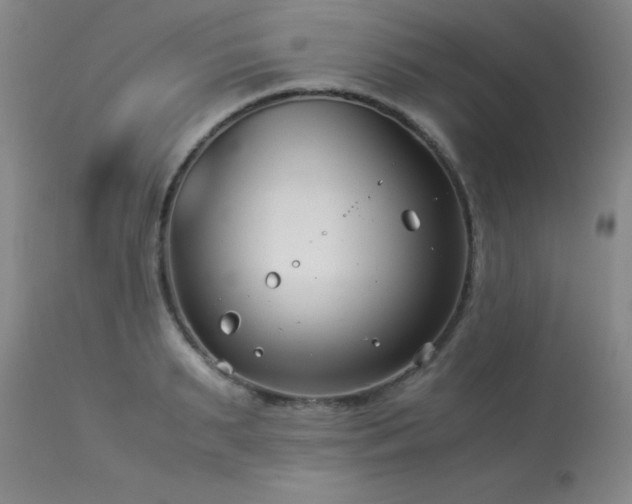 X0000114010895200910021339