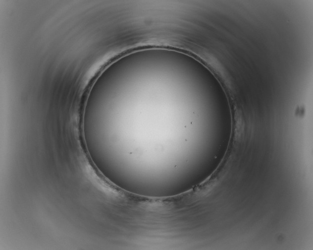 X0000114010896200910021339