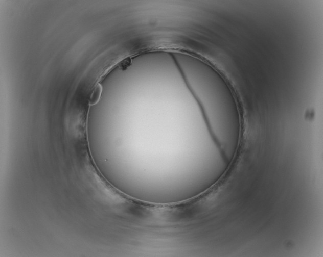 X0000114010897200910021339