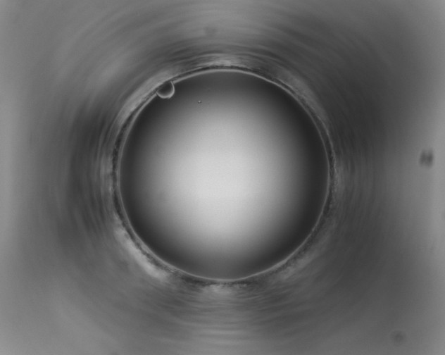 X0000114010898200910021339