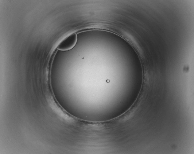 X0000114010900200910021339