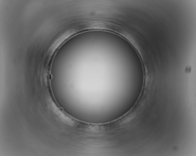 X0000114010901200910021339