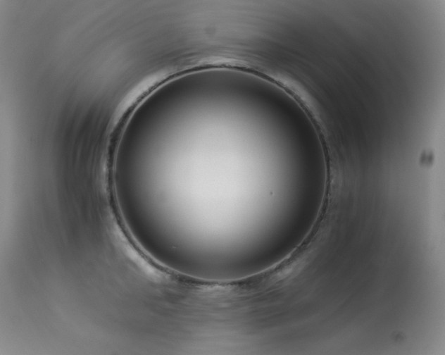 X0000114010902200910021339