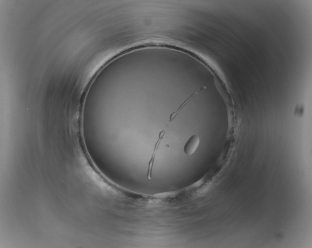 X0000114010903200910021339