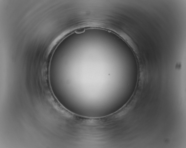 X0000114010904200910021339