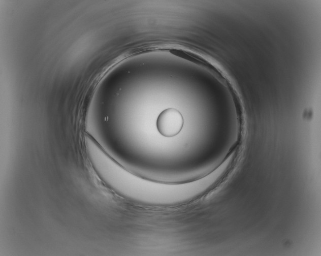 X0000114010905200910021339