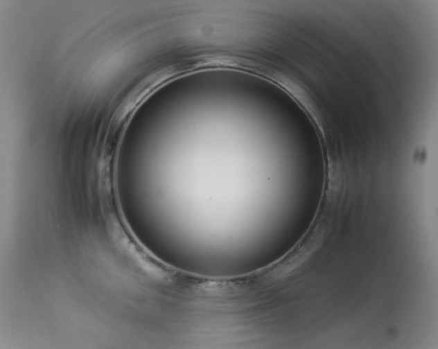 X0000114010906200910021339