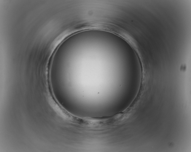 X0000114010907200910021339